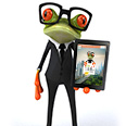 mascota contrate seguros